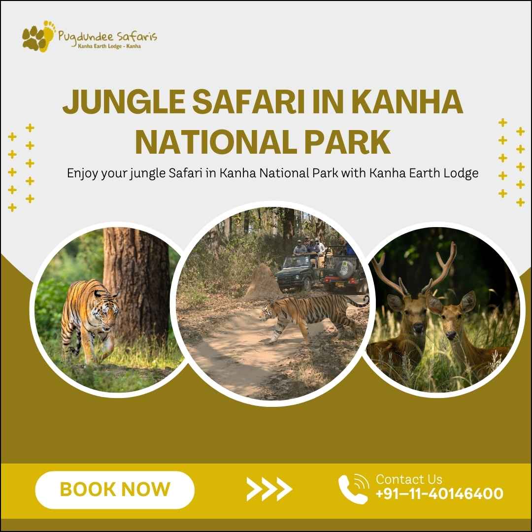 Jungle Safari In Kanha National Park